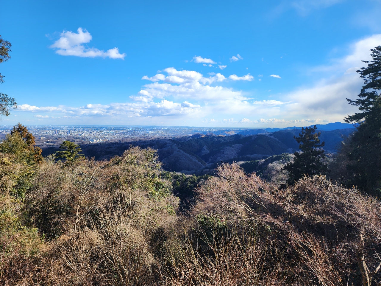 Mt. Takao Hills