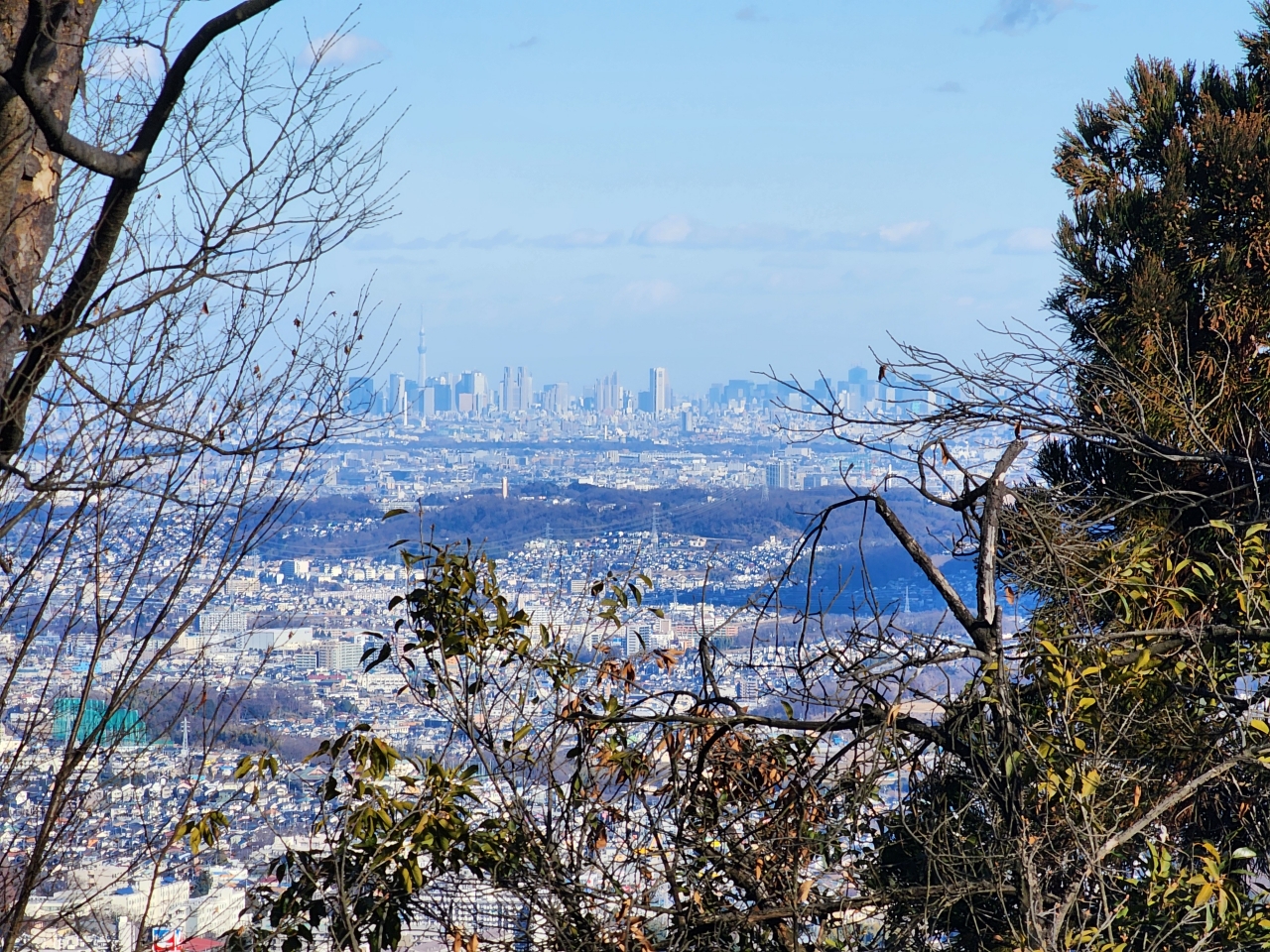 Tokyo Skytree from Mt. Takao