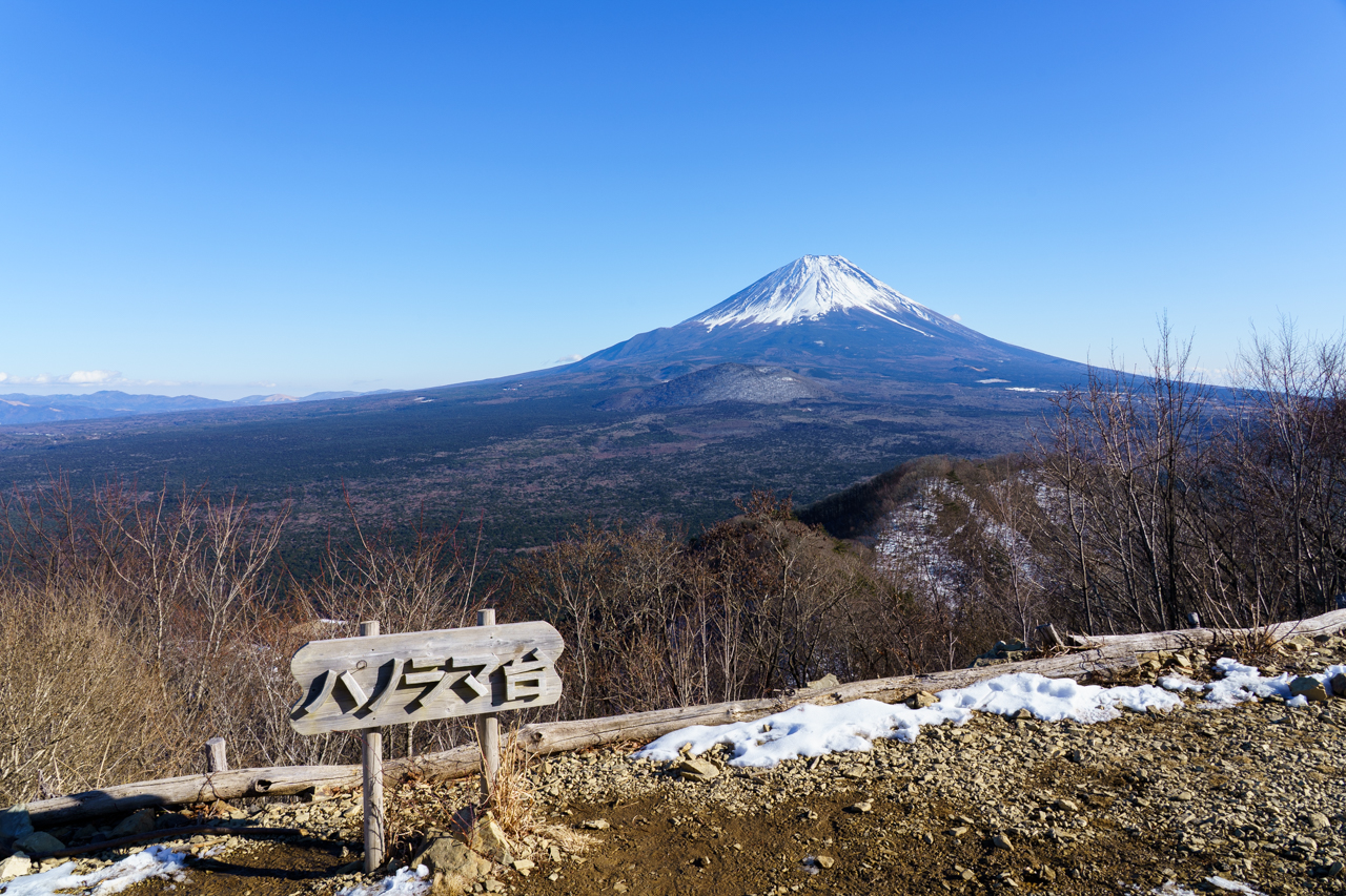 Mt. Fuji from Panorama-dai
